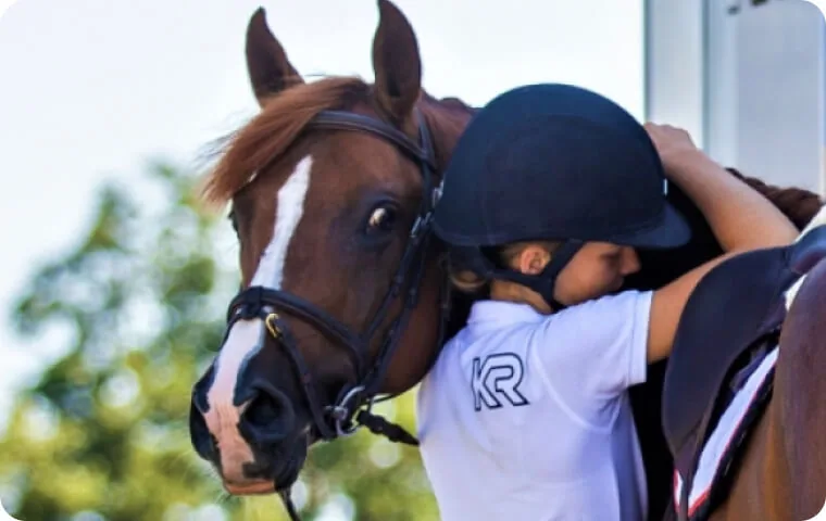 Get your horse delivered