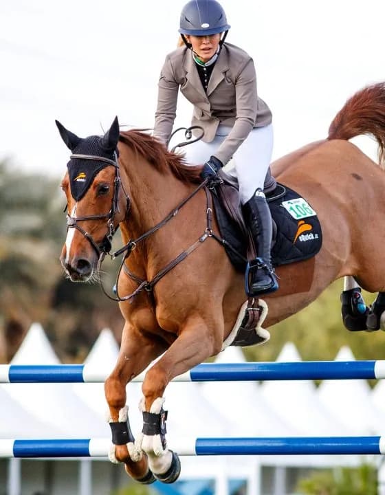 Horse Events