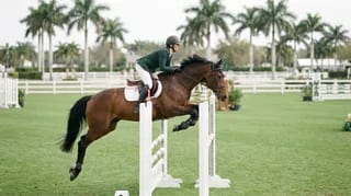 Winter Equestrian Festival.