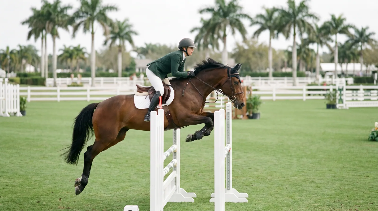 Winter Equestrian Festival.