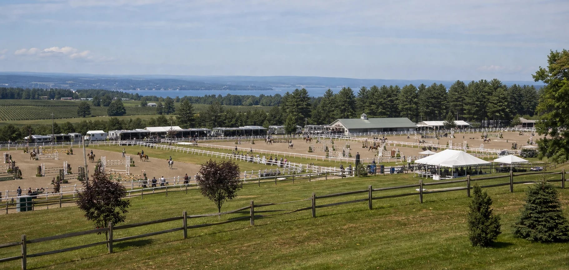 Traverse City, MI horse transport