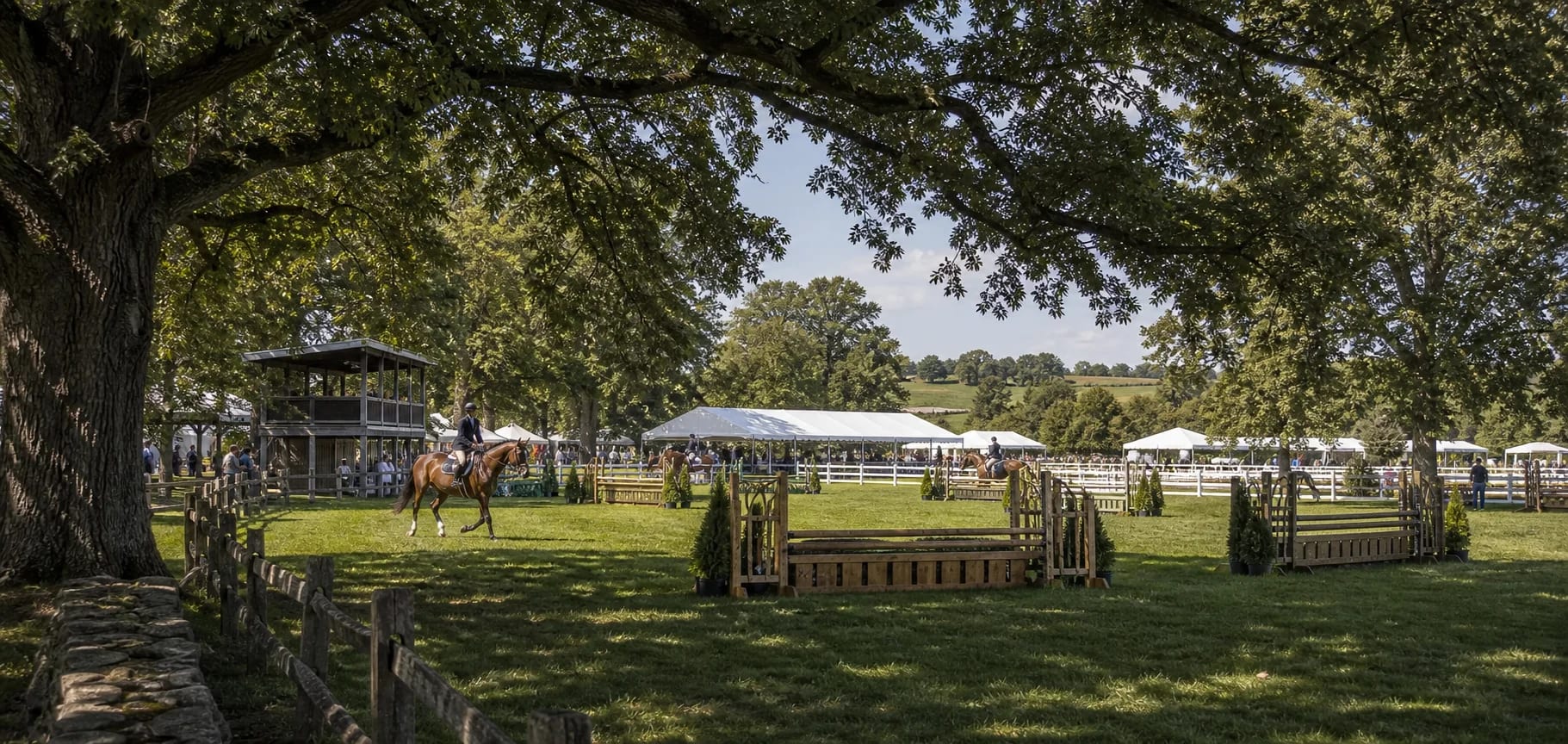 Upperville, VA horse transport