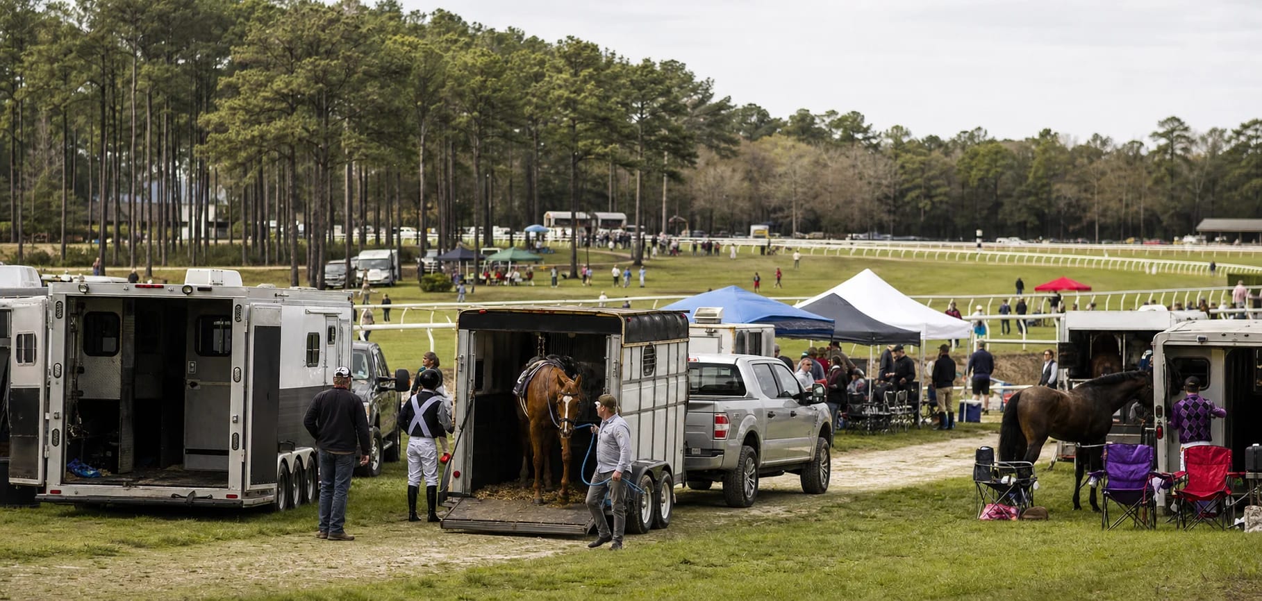 Carolina Cup horse transport