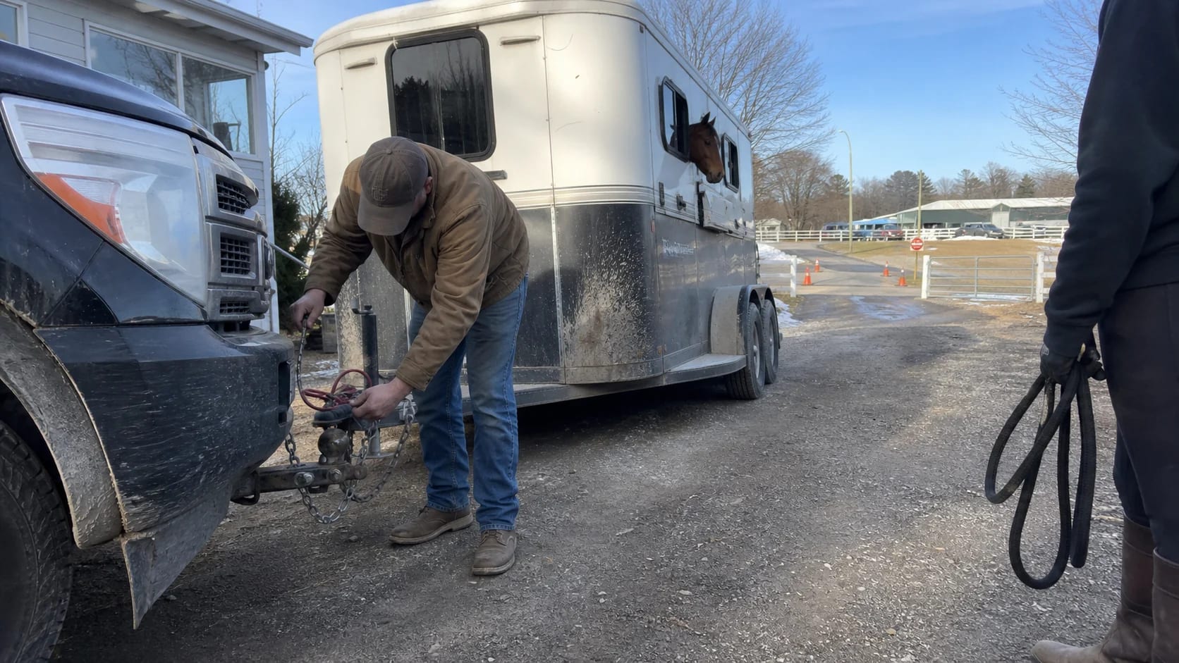 Short-haul horse transport horse transport